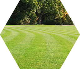 products - Pool Products