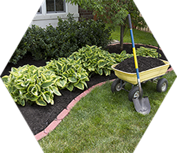 thedirtonus - The Dirt On Us